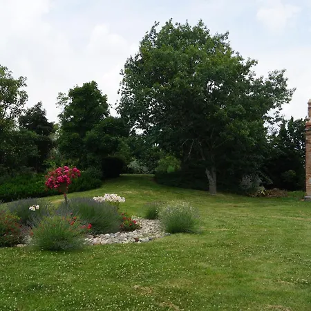 Colombier Occitan *