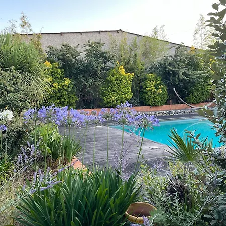 Colombier Occitan Дом отдыха Noe (Haute-Garonne)